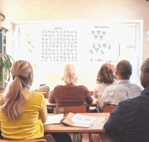 Approche statistique pour les stratégies d’expérimentation animale