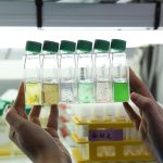 Photo 🌊 Explorez le monde fascinant du phytoplancton ! 🔬