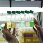 Photo Formation Culture de microalgues à Roscoff en Septembre 2025 !