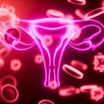 Photo Nouveau DU Immunologie de la reproduction : approfondir les clés immunologiques pour améliorer la prise en charge en fertilité et obstétrique