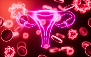 Nouveau DU Immunologie de la reproduction : approfondir les clés immunologiques pour améliorer la prise en charge en fertilité et obstétrique