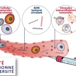 Photo Biopsies liquides : de la biologie à la clinique » à Faculté de Santé de Sorbonne Université !
