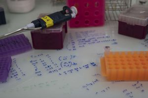 Concevoir un plan de gestion des données dans le cadre d’un appel à projet de recherche