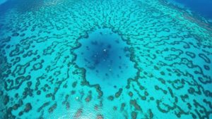 From outcrops to seismic acquisition and interpretation