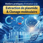 Photo Se former par la pratique en biologie moléculaire