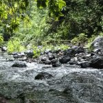 Photo Nouvelle formation au Muséum national d&rsquo;Histoire naturelle : ADN environnemental un nouvel outil d&rsquo;évaluation de la biodiversité