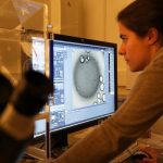 Photo Comment les rapports de genre traversent-ils aujourd’hui les institutions académiques et scientifiques ?