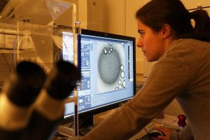 Comment les rapports de genre traversent-ils aujourd’hui les institutions académiques et scientifiques ?