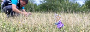 Méthodes et outils de diagnostic écologique en milieux terrestres