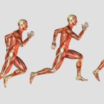 Photo MoCapia : un outil intuitif de capture du mouvement