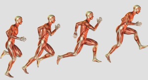 MoCapia : un outil intuitif de capture du mouvement